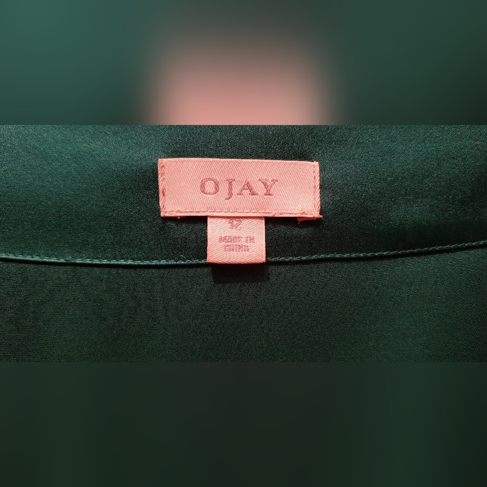 Emerald silk Ojay dress - Picture 6 of 11